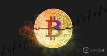 Bitcoin felezés? Mutatjuk mi az!